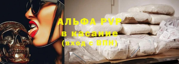 стафф Новокубанск