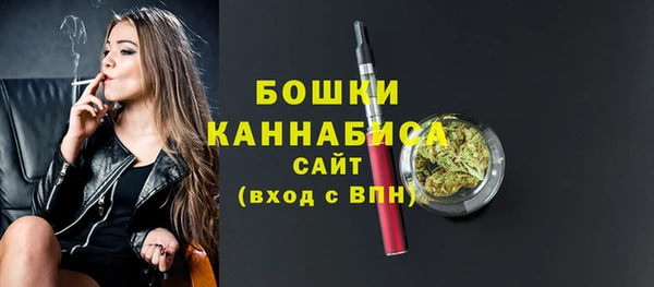 ГАЛЛЮЦИНОГЕННЫЕ ГРИБЫ Новозыбков