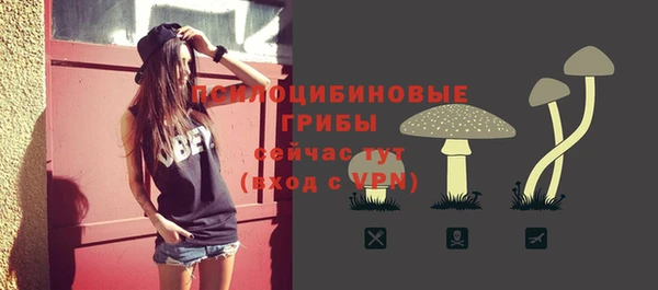 ГАЛЛЮЦИНОГЕННЫЕ ГРИБЫ Новозыбков