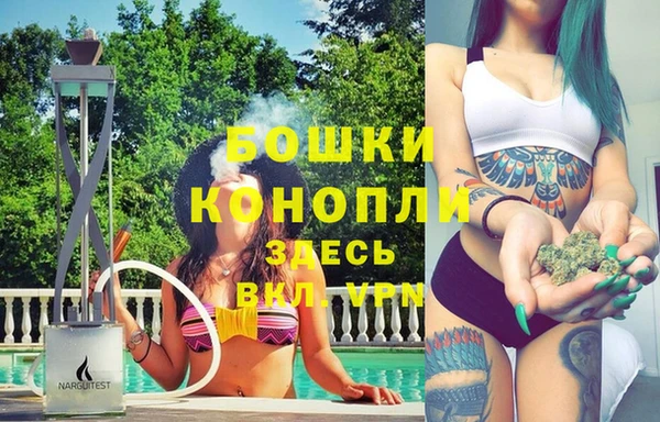 ГАЛЛЮЦИНОГЕННЫЕ ГРИБЫ Новозыбков