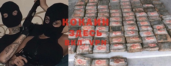 стафф Новокубанск