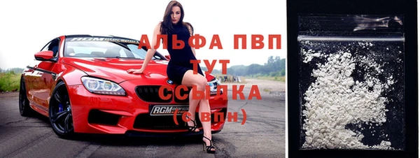 ГАЛЛЮЦИНОГЕННЫЕ ГРИБЫ Новозыбков