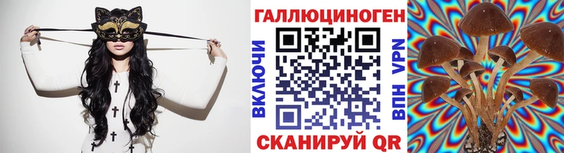 Галлюциногенные грибы Psilocybine cubensis  Курлово 